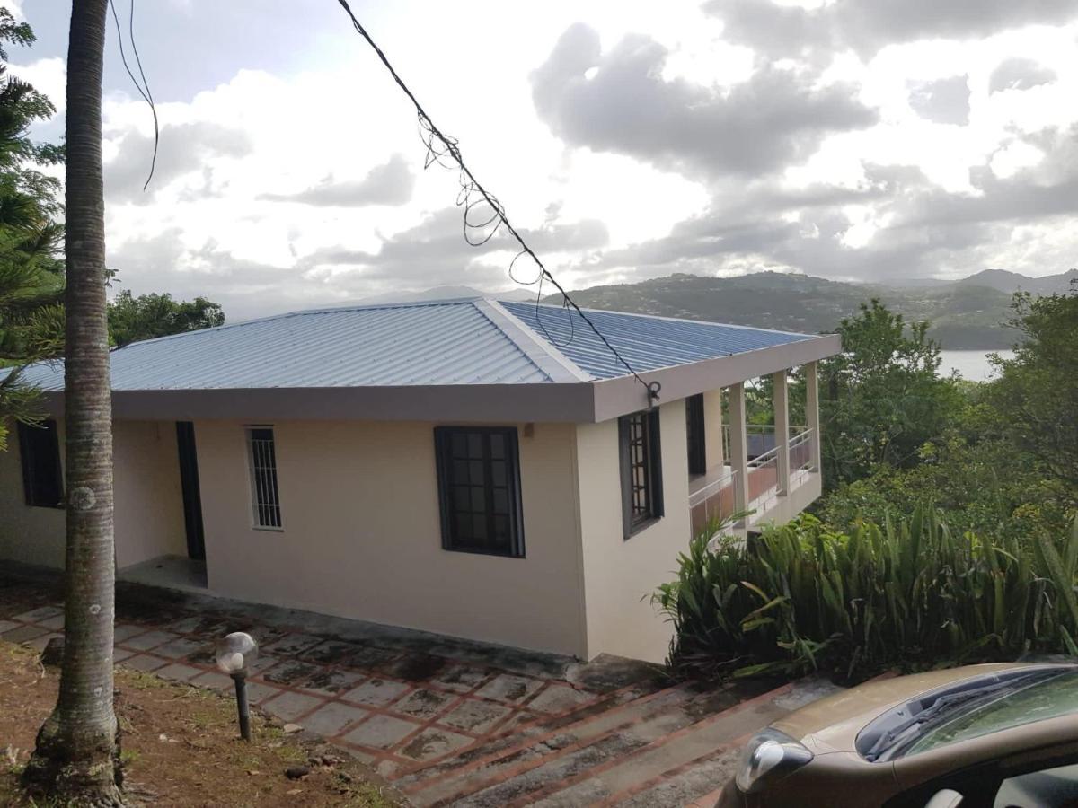 Top Hill Hostel- Martinique- Auberge Dortoir La Trinité Exteriör bild